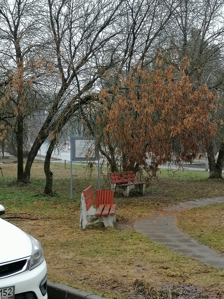 Падающее дерево на детской площадке