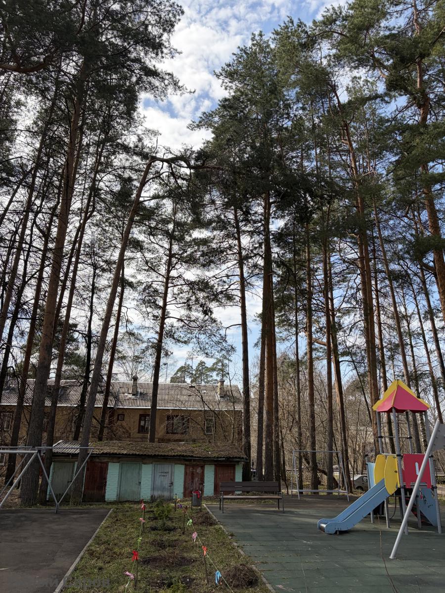 Сломанное дерево над детской площадкой